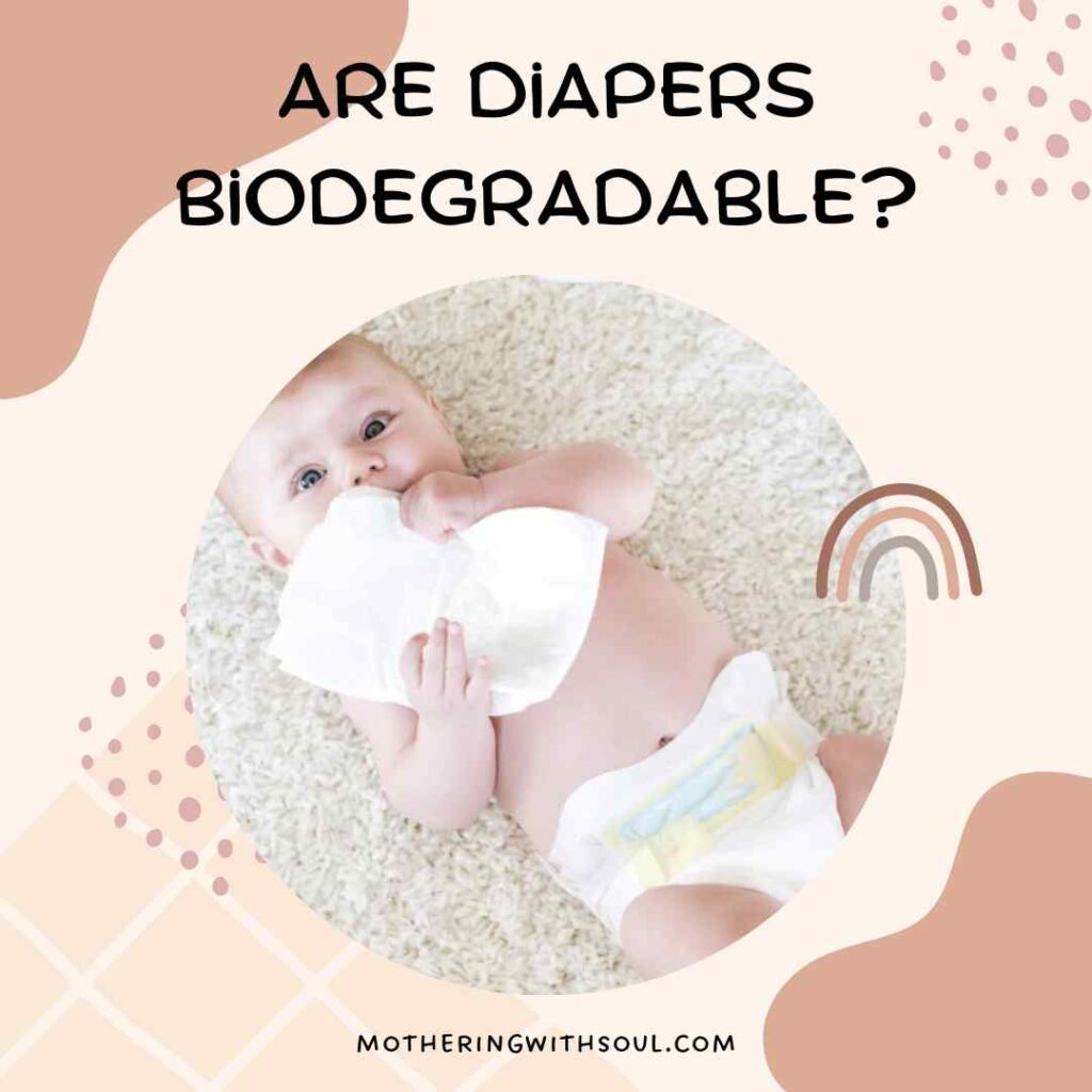 Are Diapers Biodegradable